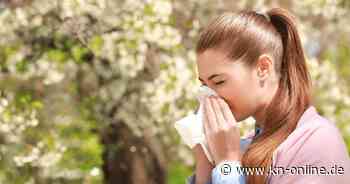 Heuschnupfen: Wo leiden Allergiker am wenigsten?