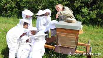 Staunen über Bienen, Blüten und Honig