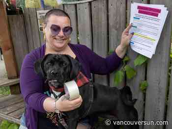 Shut out of schoolyards, Vancouver dog owners ramp up pressure on city to add dog parks