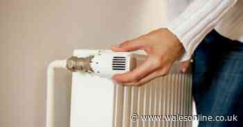 Energy bills 'to drop by more than £100' within weeks