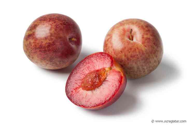 Gardeners: We are in the midst of a pluot revolution