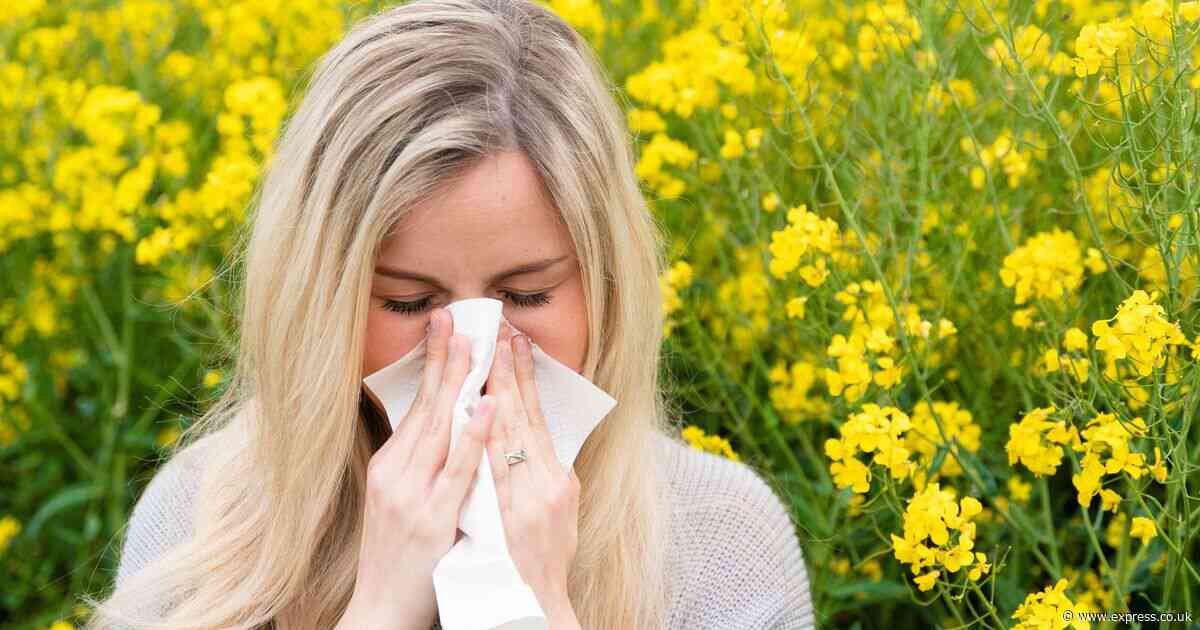 Hay fever sufferer stunned to learn DWP will pay out £737 a month