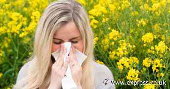 Hay fever sufferer stunned to learn DWP will pay out £737 a month