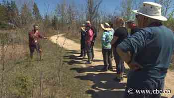 How a Winnipeg trail-walking program helps people with dementia and their partners find joy in the moment
