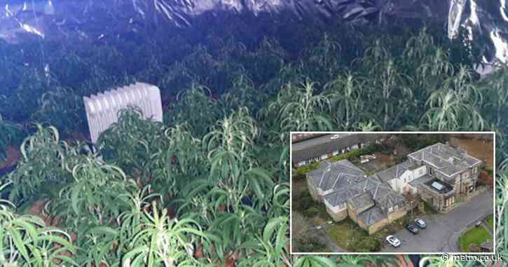 Gang jailed after turning nursing home into £450,000 cannabis farm