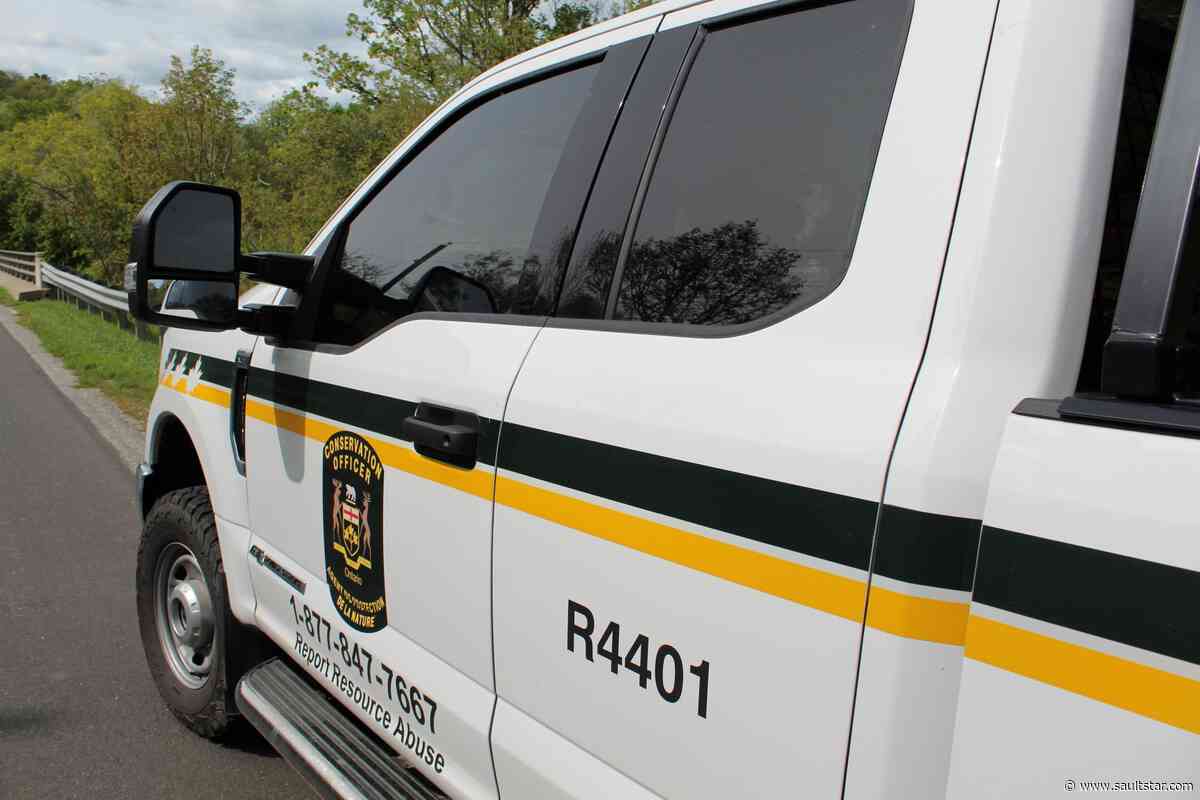 Jail time, fishing suspension for Sault Ste. Marie man