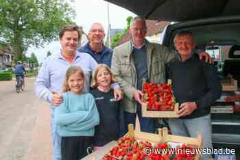 Beerveldse aardbeienmarkt is begonnen: “Blij dat ik hier dagelijks kan verkopen”