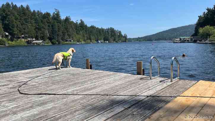'Another pair of eyes watching over me:' How a B.C. woman's service dog saved her from drowning