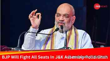 BJP To Contest All Seats In Upcoming Jammu And Kashmir Assembly Polls: Amit Shah’s BIG Announcement In Srinagar