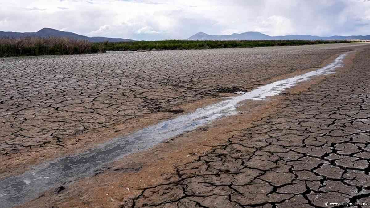 Scientists warn California, Texas and many Midwest US states could run out of groundwater by 2050