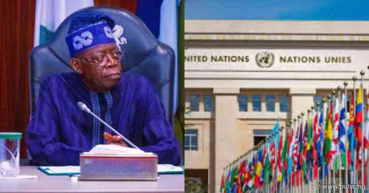 Tinubu has brought remarkable progress to Nigeria - UN
