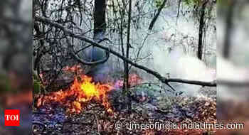 Wildfires claim another life in Almora; toll 6