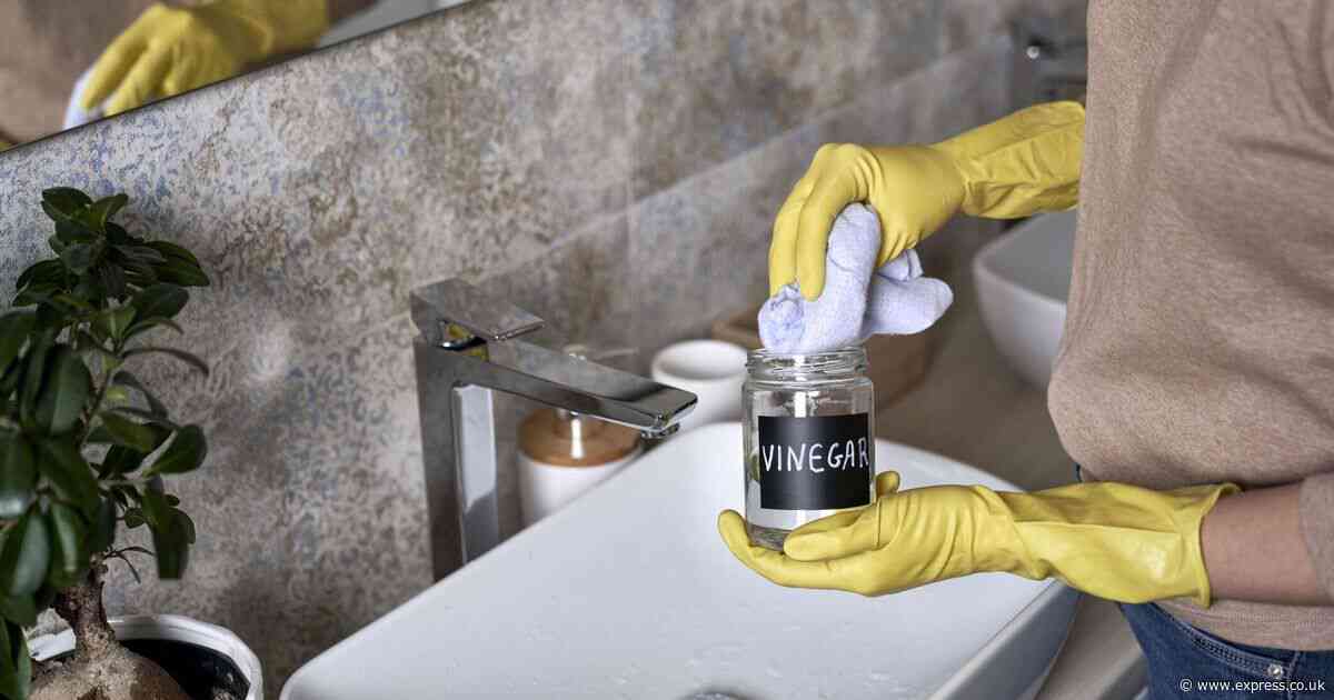 Six vinegar uses in your home — from cleaning appliances to extending your plant's life