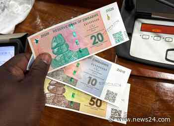 News24 | Zimbabwe unleashes police, intelligence services on people rejecting new ZiG currency