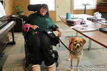 'We're a team': Timmins woman's guide dog experience highlights love and support