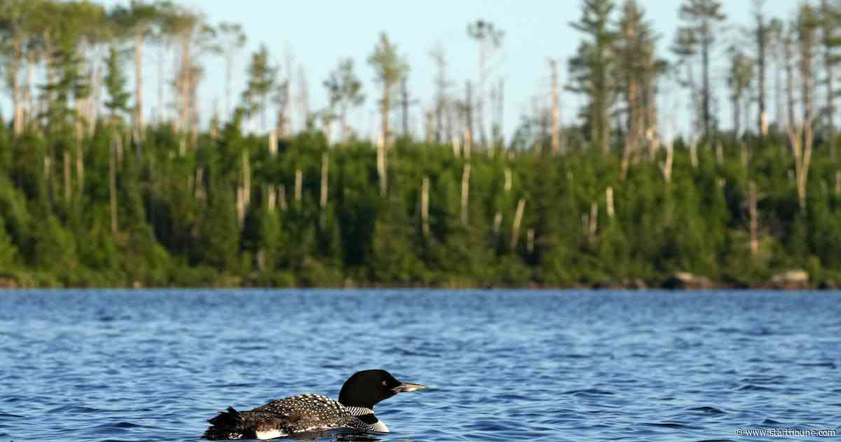 Phone satellite coverage may soon come to Boundary Waters Canoe Area Wilderness
