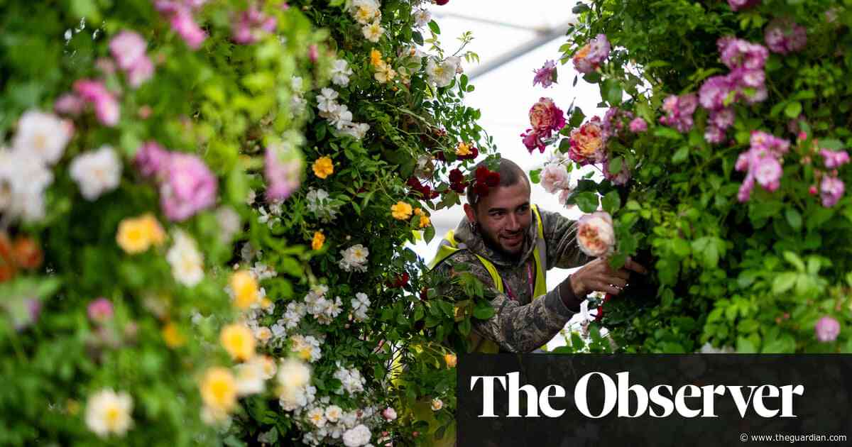 UK’s garden centres hope sunshine and Chelsea flower show will help them rebound from the rain