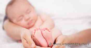 The top 100 baby names for girls and boys in Wales