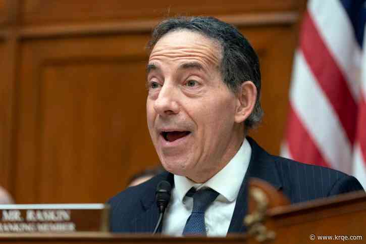 Raskin says it's 'worth investigating' whether House members were drinking in hearing room
