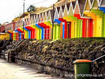Been here? 11 colourful photos out and about from York