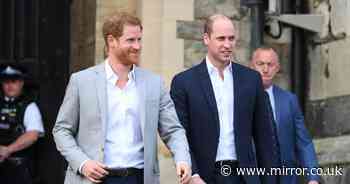 Prince Harry 'felt sick' after Prince William 'turned down' wedding plea with four blunt words