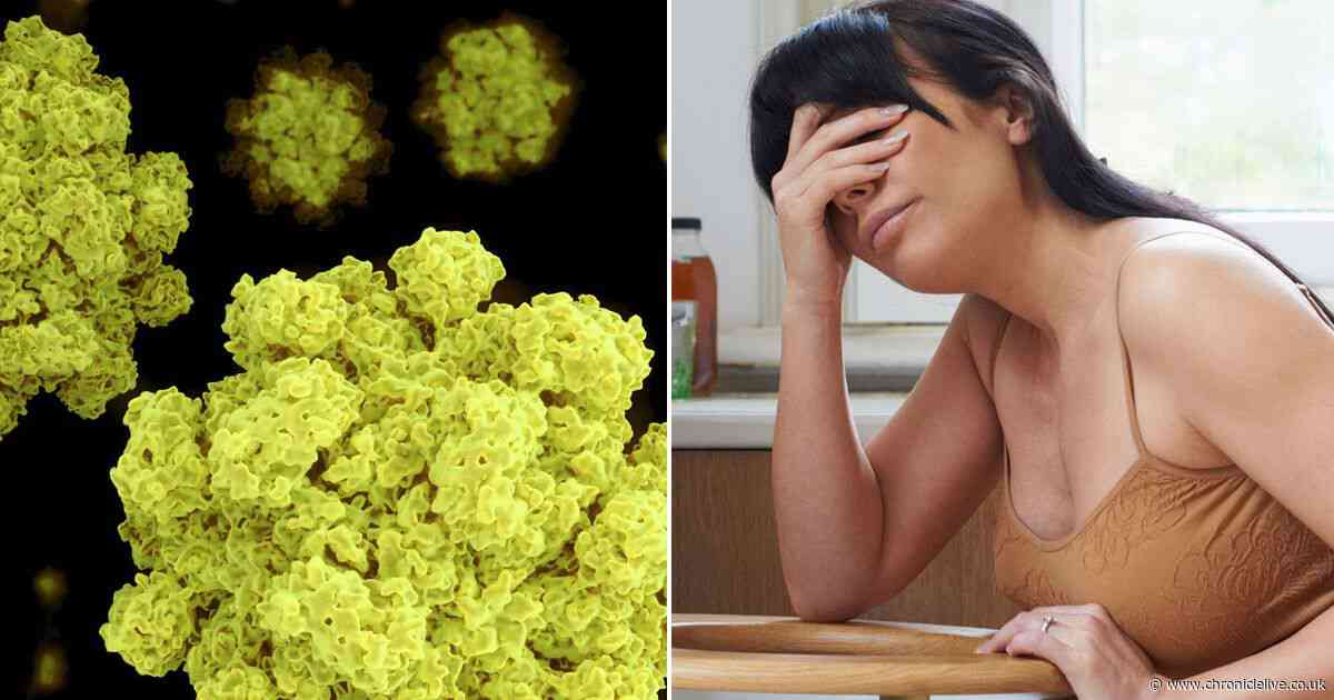 Norovirus symptoms warning for as vomiting bug cases spike