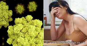 Norovirus symptoms warning for as vomiting bug cases spike