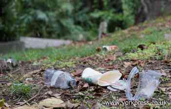 What happens if you get caught littering in the UK?
