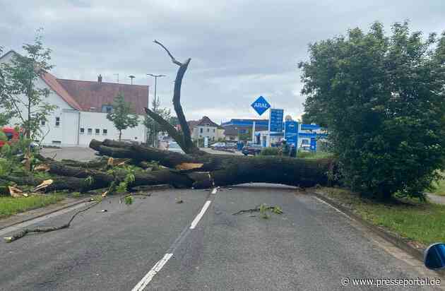 POL-PDLD: Umgestürzter Baum in Bellheim, Zeiskamer Straße Samstag, 18.05.2024, um 10.16 Uhr