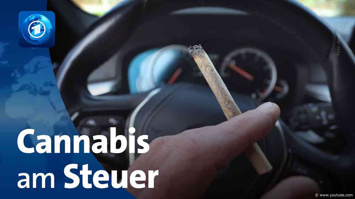 Bundestag berät über Regeln für Cannabiskonsum im Straßenverkehr