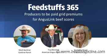 Producers to be paid grid premiums for AngusLink beef scores