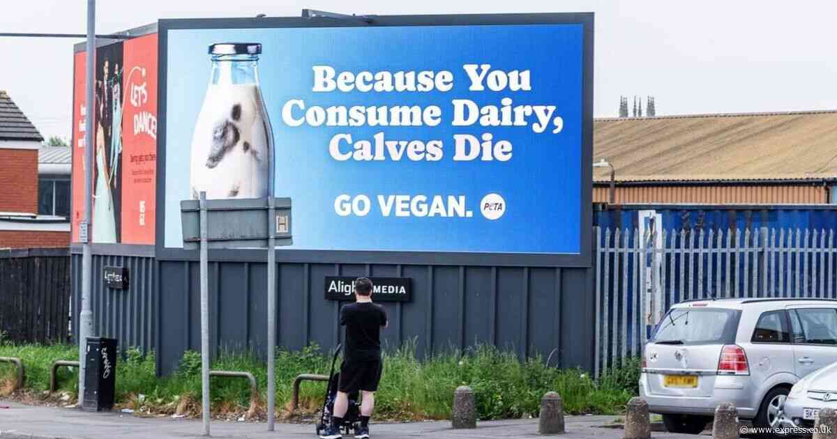 'Go vegan' billboard put up in town after commuter was told oat milk 'off the menu'