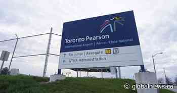 Around $500,000 worth of baby eels seized at Toronto Pearson Airport