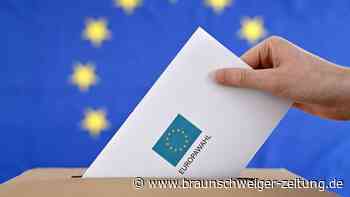 Europawahl: So können EU-Ausländer in Deutschland wählen