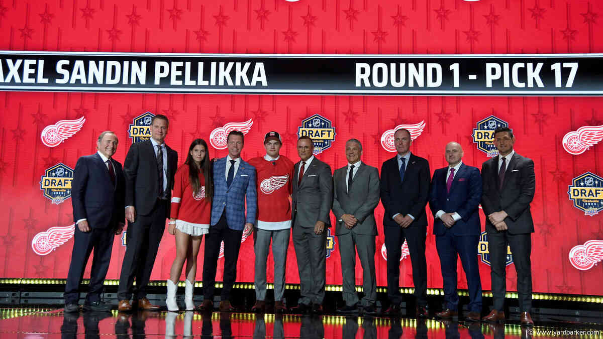 Sandin Pellikka Teammate Projected to be Heading to Red Wings