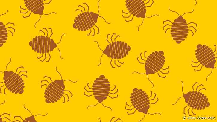 This Texas city is the 3rd worst for bed bug infestations in the U.S.