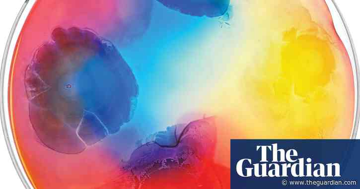 Mesmerising microbes: bacteria as you’ve never seen it before – in pictures