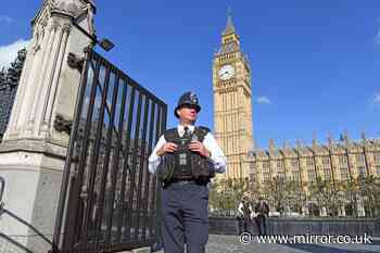 Houses of Parliament cops seize knives and pepper spray from visitors