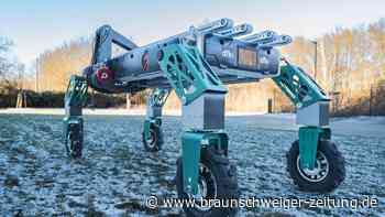 Erdbeer-Ernte-Roboter könnte deutsche Felder revolutionieren