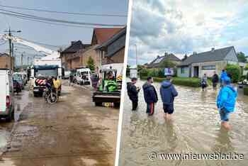 LIVE. Regenval zet opnieuw heel wat straten onder water in Limburg, overschrijding alarmpeil Winge en Velpe mogelijk