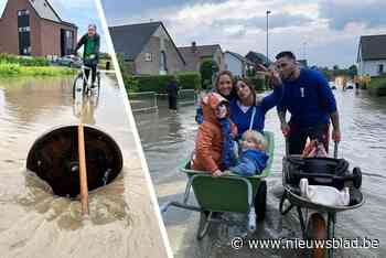 Nieuwe plensbui treft vooral West-Limburg en delen van Hasselt, inwoners schieten mekaar te hulp