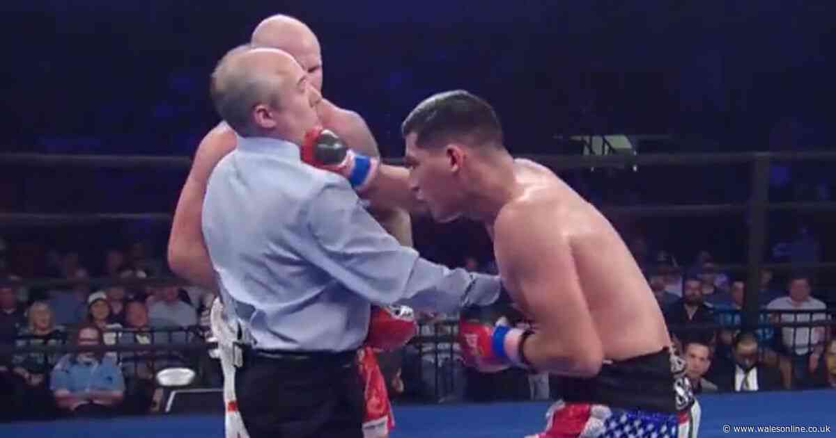 Fury vs Usyk referee Mark Nelson punched in the face during fight
