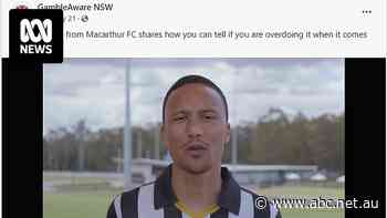 GambleAware NSW removes ad featuring A-League player charged over alleged betting corruption