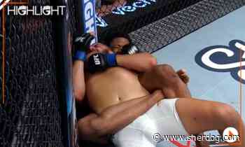 UFC Fight Night 241 Highlight Video: Oumar Sy RNCs George Tokkos