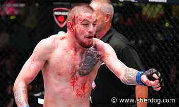 Tom Nolan Rebounds with TKO in UFC Fight Night 241 Featured Prelims Bout