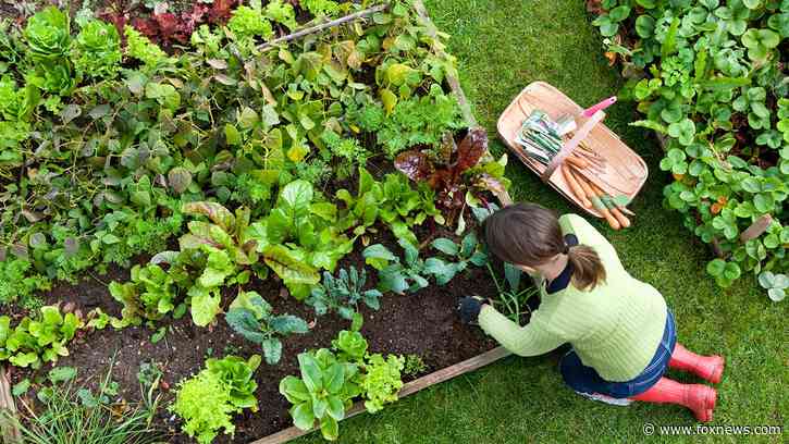 10 garden tools every gardener should have