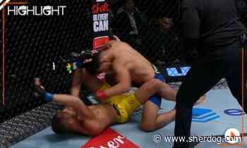 UFC Fight Night 241 Highlight Video: Adrian Yanez Overwhelms Vinicius Salvador