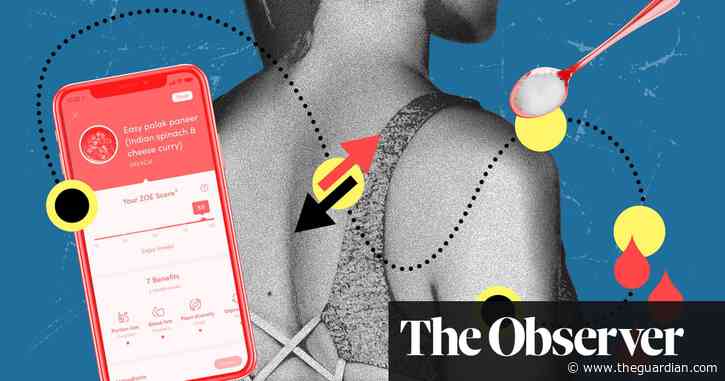 ‘Personalising stuff that doesn’t matter’: the trouble with the Zoe nutrition app