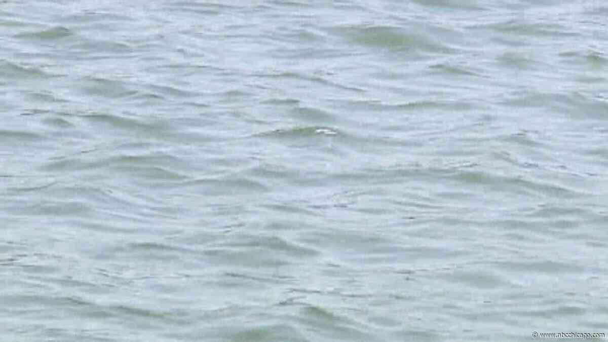Man dies after being pulled from Lake Michigan near 31st Street Beach, Chicago police say