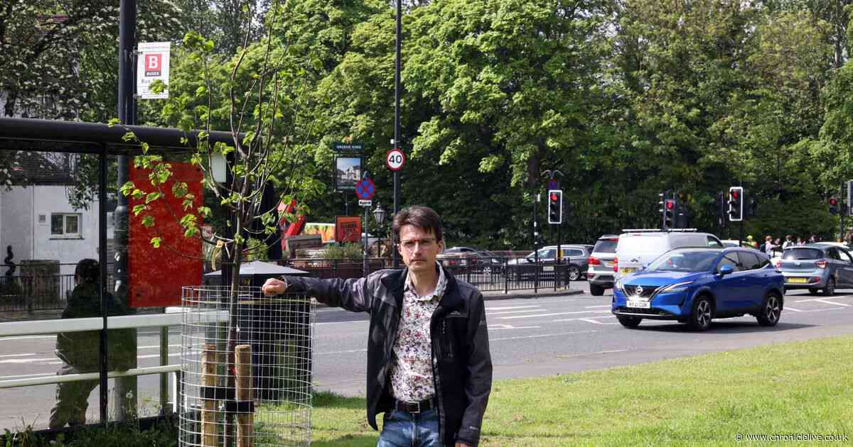 Heaton man 'upset and disappointed' after council cut wildflower meadow during 'No Mow May'